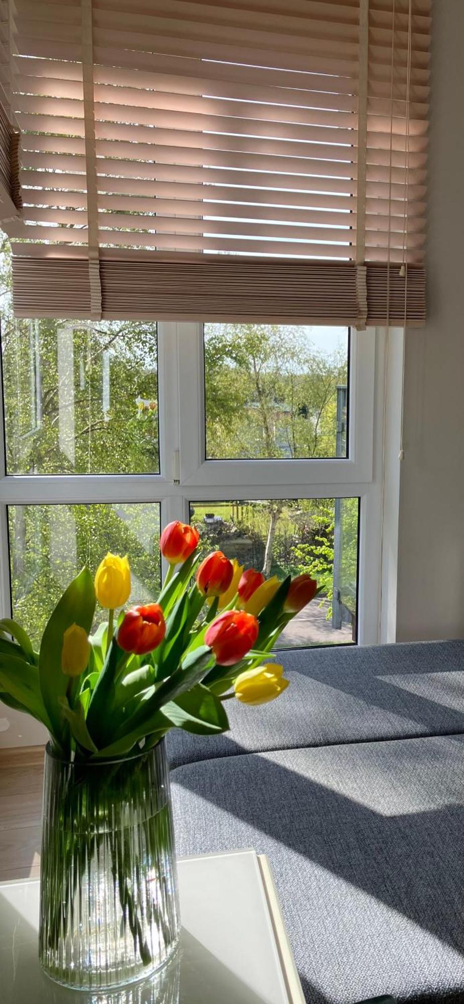 Apartament Vita Polanki Kołobrzeg Eksteriør billede